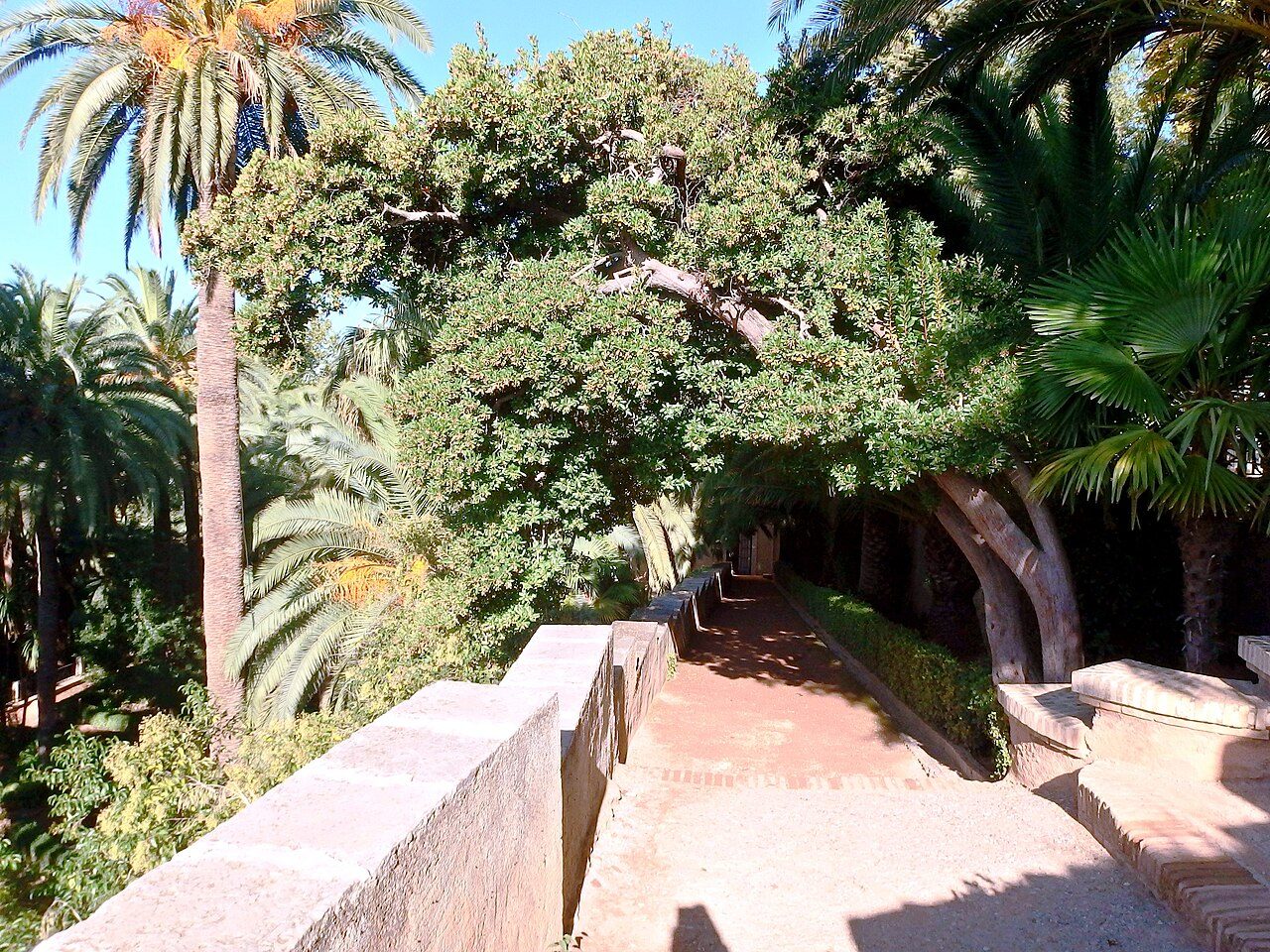 Paseo de palmeras en los jardines exteriores del Carmen de los Mártires