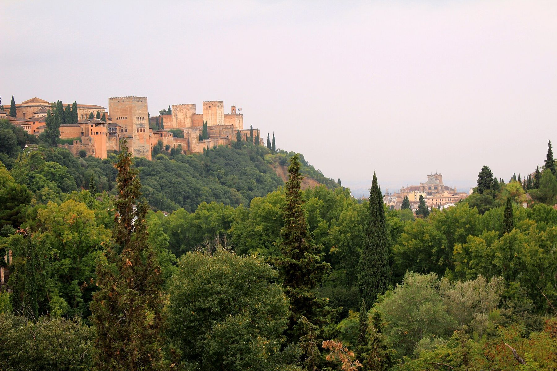 El bosque que rodea la Alhambra, visto desde el exterior
